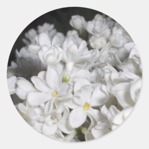 Pegatina Redonda Lilac