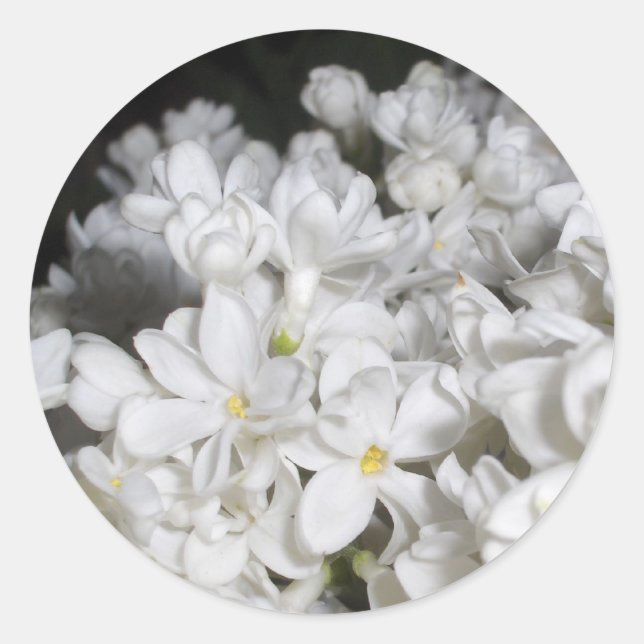 Pegatina Redonda Lilac (Anverso)