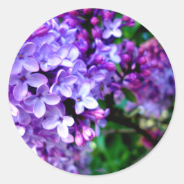 Pegatina Redonda Lilacs