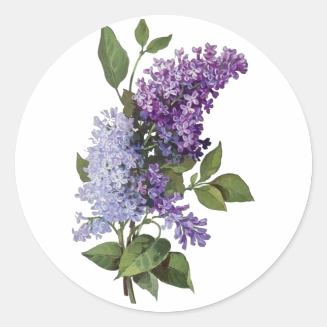 Pegatina Redonda Lilacs Fresh (Anverso)