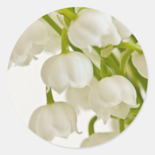 Pegatina Redonda Lilies blancos