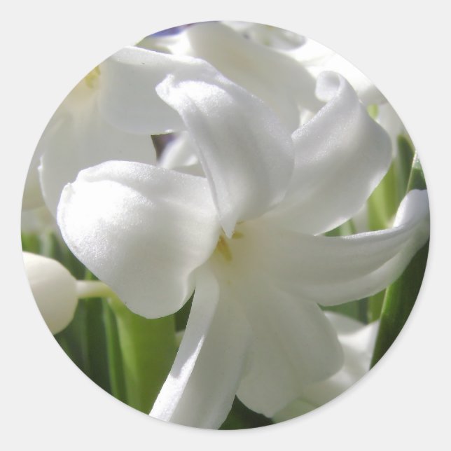 Pegatina Redonda Lilly White Easter (Anverso)