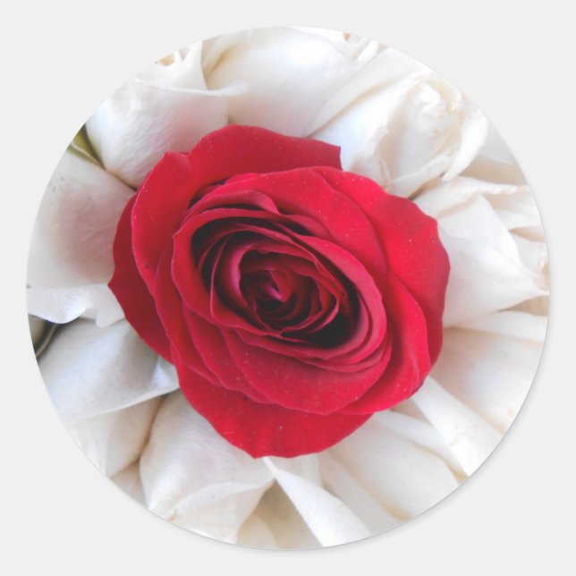 Pegatina Redonda Lindegren (Anverso)