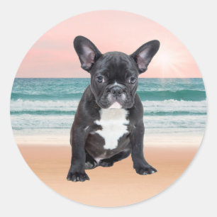 Pegatina Redonda Lindo Bulldog Francés Playa Sol Agua
