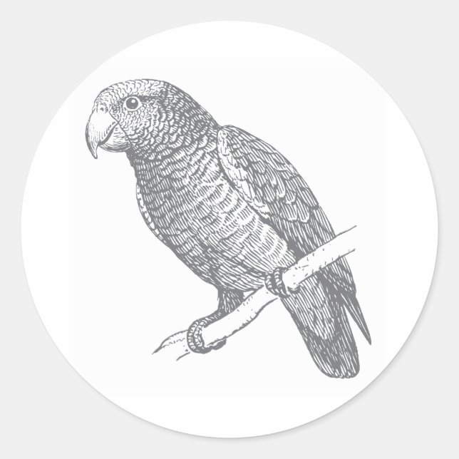 Pegatina Redonda Line Art of Parrot (Gray) Fine Art (Anverso)