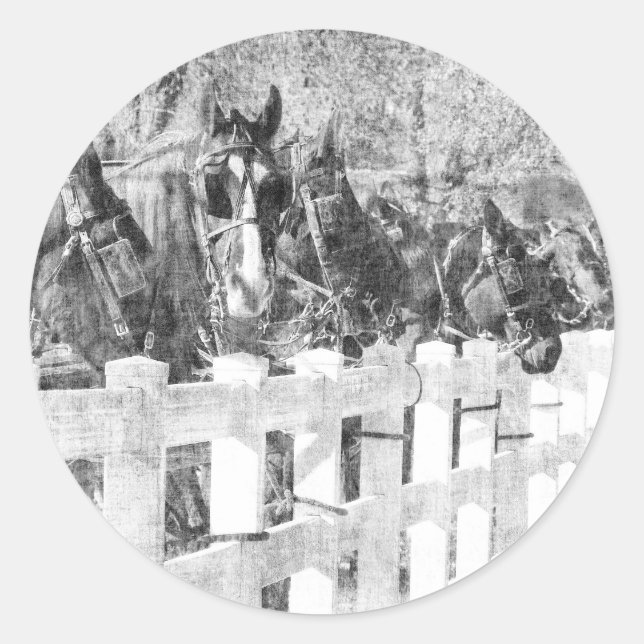 Pegatina Redonda Línea de Caballos Amish Negro y Blanco (Anverso)