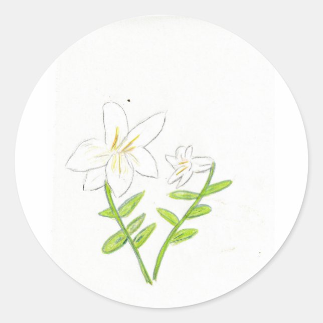Pegatina Redonda Lirio blanco de la Pascua (Anverso)
