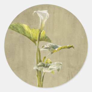 Pegatina Redonda Lirio Calla de Fidelia Bridges