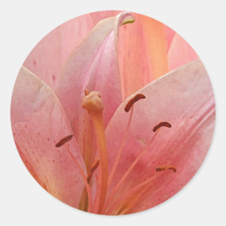 Pegatina Redonda Lirio de tigre rosa