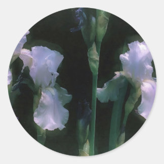Pegatina Redonda Lirios blancos iluminados por la luna en flor