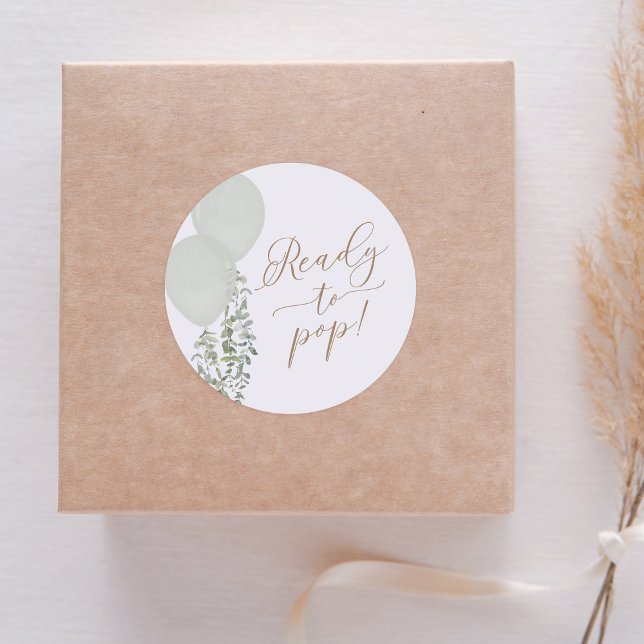 Pegatina Redonda Listo para reventar globo verde salvia Twin Baby S (Subido por el creador)