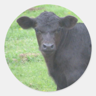Pegatina Redonda Little Black Bull