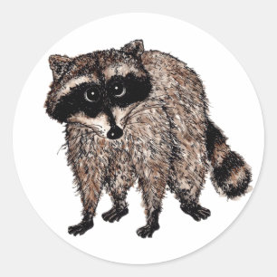 Pegatina Redonda Little Raccoon