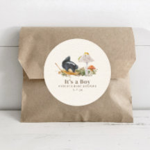 Little Stinker Woodland Skunk Boy Baby Shower