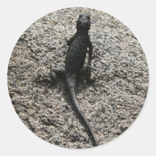 Pegatina Redonda Lizard negro (Anverso)