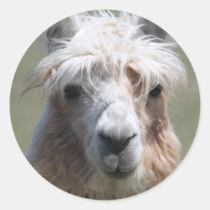 Pegatina Redonda Llama