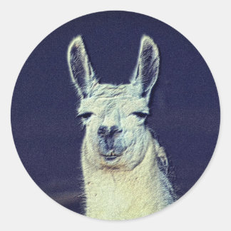 Pegatina Redonda Llama Face Pencil Art