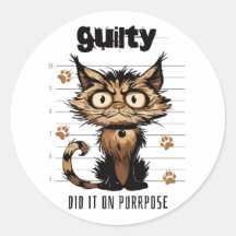 Lo hizo a propósito - gato gracioso