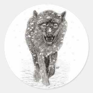 Pegatina Redonda Lobo negro enojado en la nieve, invierno salvaje