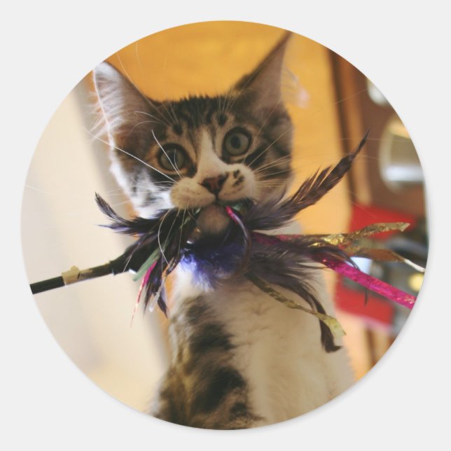 Pegatina Redonda Loco por la pluma (Anverso)