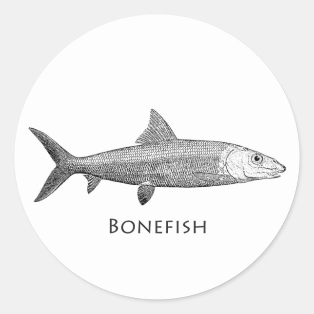 Pegatina Redonda Logo de Bonefish (Anverso)