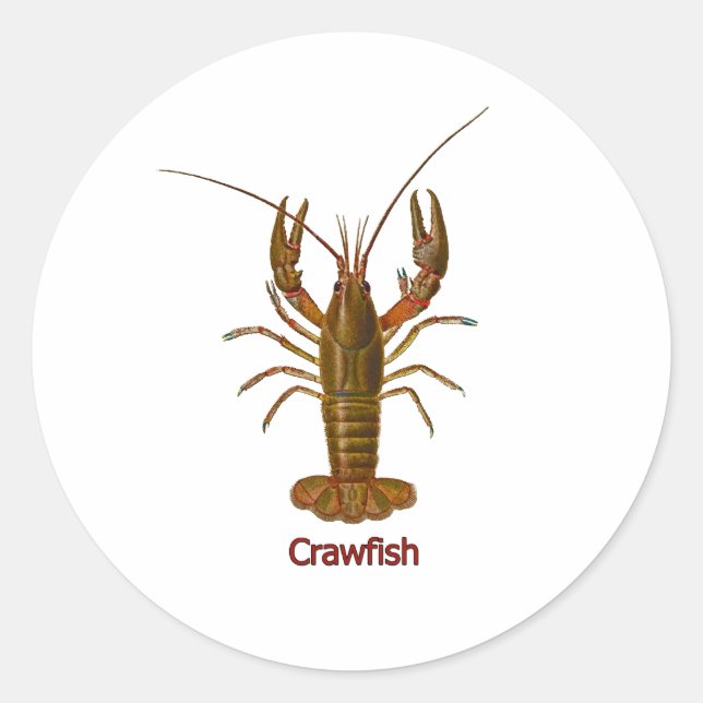 Pegatina Redonda Logo de Crawfish (Anverso)