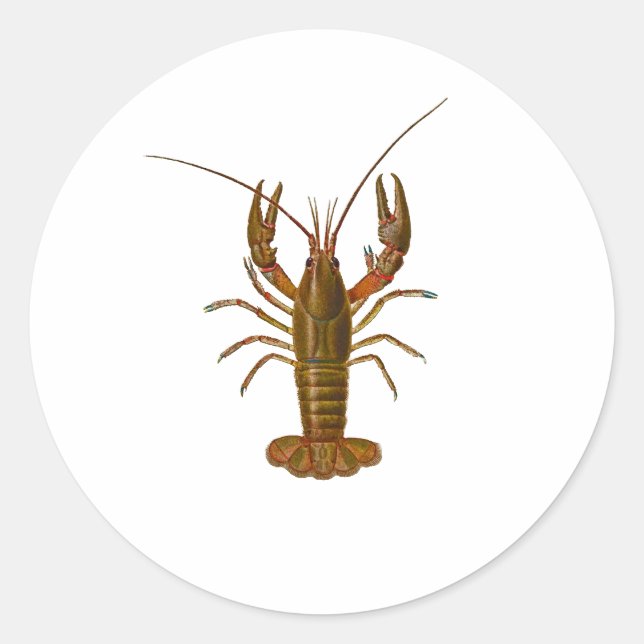 Pegatina Redonda Logo de Crawfish (Anverso)
