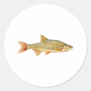 Pegatina Redonda Logo de Golden Shiner