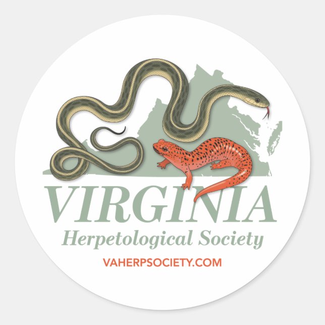 Pegatina Redonda Logo de la Sociedad Herpetológica de Virginia (Anverso)