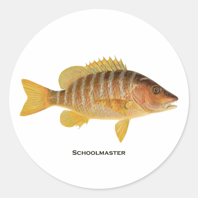 Pegatina Redonda Logo de Schoolmaster Fish (Anverso)