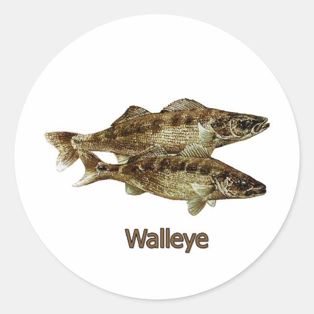 Pegatina Redonda Logo de Walleye Fishing (Anverso)
