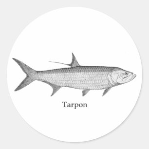 Pegatina Redonda Logotipo de Tarpon (arte de la línea)