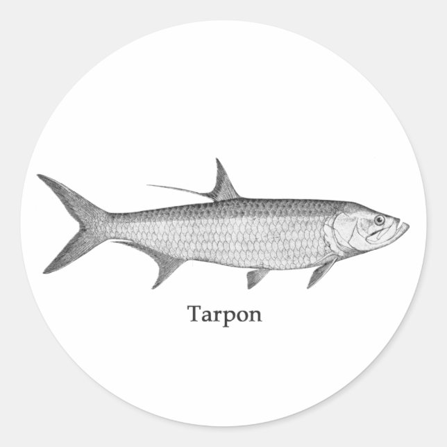 Pegatina Redonda Logotipo de Tarpon (arte de la línea) (Anverso)