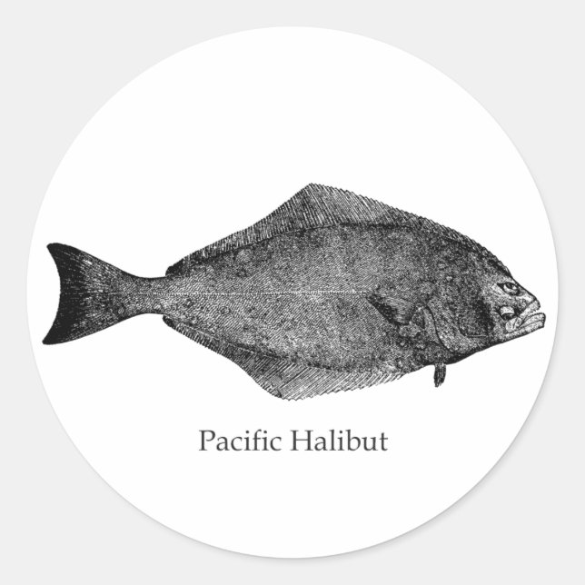 Pegatina Redonda Logotipo del Halibut en el Pacífico (Anverso)