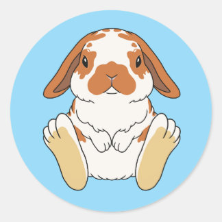 Pegatina Redonda Lop Bunny Sticker Broken Orange