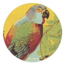 Loro con el vitral