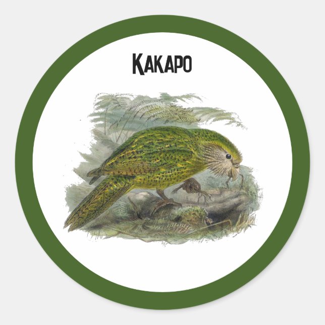 Pegatina Redonda Loro de búho verde Kakapo, Ilustracion de pájaro r (Anverso)
