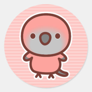 Pegatina Redonda Loro de Rosa Bourke