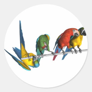 Pegatina Redonda Loro del Macaw