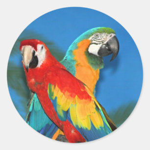 Pegatina Redonda Loros X