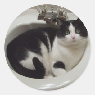 Pegatina Redonda Los amantes del gato disfrutan