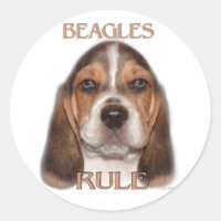 ¡Los Beagles gobiernan!