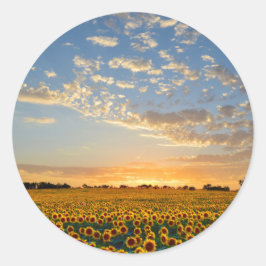Pegatina Redonda Los girasoles al atardecer