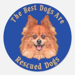 Pegatina Redonda Los mejores perros son Pomeranian rescatado)