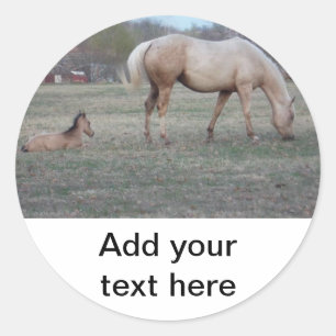 Pegatina Redonda Los nuevos Pegatinas