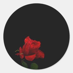 Pegatina Redonda Los rosas son rojos