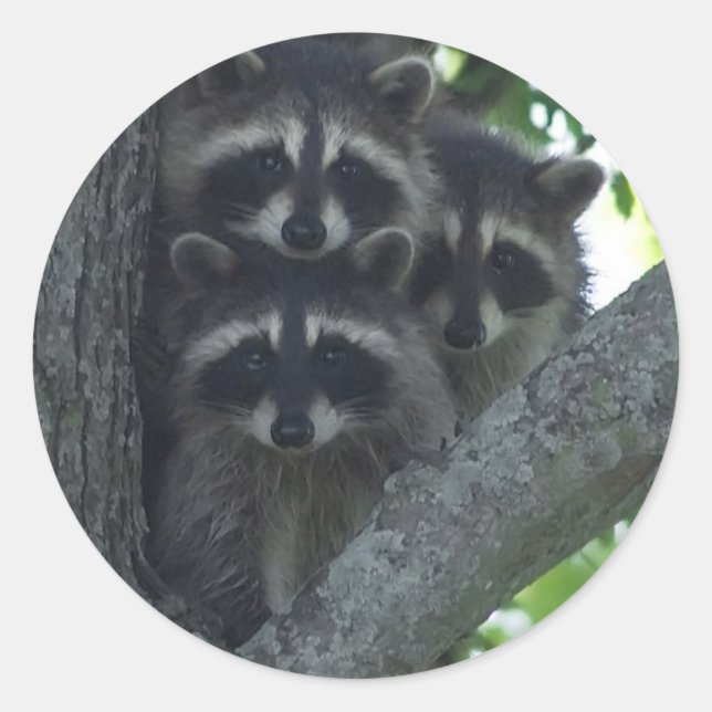 Pegatina Redonda Los tres amigos (Anverso)