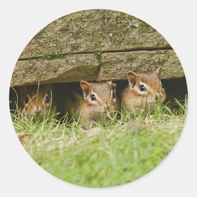 Pegatina Redonda los tres amigos (Anverso)