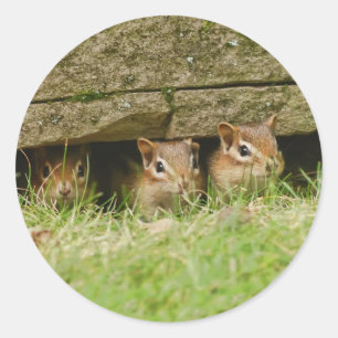 Pegatina Redonda los tres amigos