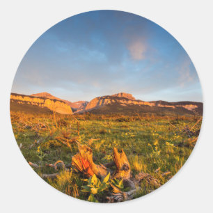 Pegatina Redonda Luces del amanecer Cañón de hojas negras 2